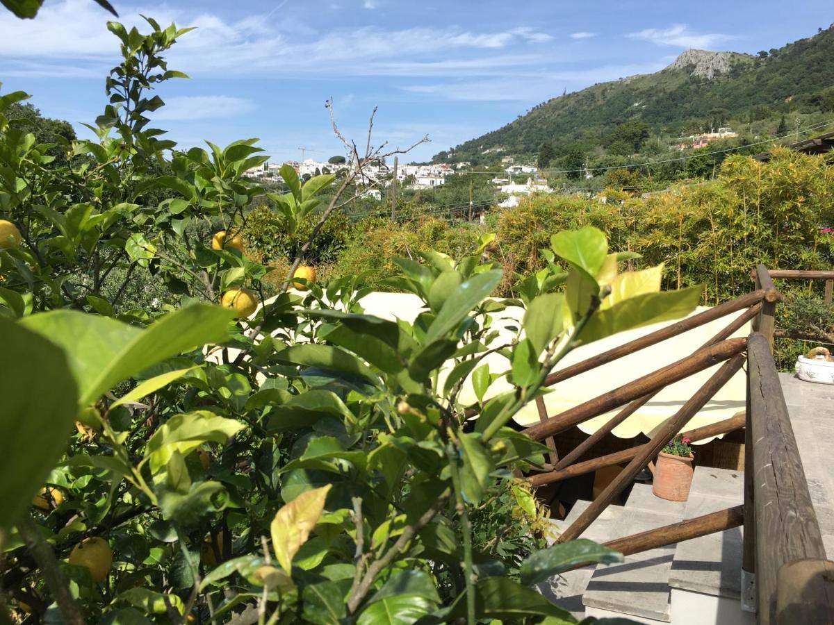 Relais Villa Anna Anacapri  Exterior foto